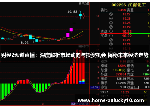 财经2频道直播：深度解析市场动向与投资机会 揭秘未来经济走势